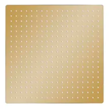 vidaXL Regenbrause Edelstahl 50x50 cm Quadrat Golden