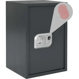 vidaXL Digitaler Safe mit Fingerabdruckschloss / keine Sicherheitsstufe