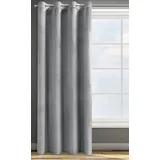 Eurofirany Design91 Samtvorhang Ösen Ösenschal Blickdichte Vorhänge Samt Velours 140x250 Samtvorhänge ROSA (Silber)