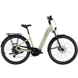 Pegasus Strong EVO 10 2026 28 Zoll RH 55 cm Damen grau