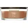 Woodwick Radiant Amber Duftkerze 454 g gold