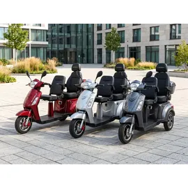 ECONELO E-Seniorenmobil Billy 2.0 3-Rad 1000 Watt Rot/Grau