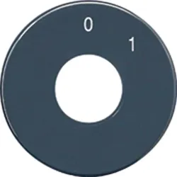 Jung Skalenscheibe SKS 1101-20 SKS1101-20