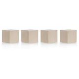 Magnetoplan Magnet Cube (L x B x H) 20 x 20 x 20mm Birke 4 St. 1665349