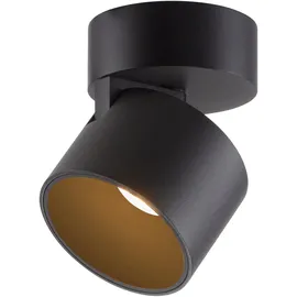 neuhaus pure Paul Neuhaus 1 Leuchtmittel schwarz