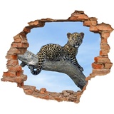 WallSpirit WCB Wandtattoo - Wanddurchbruch mit Aussicht auf Leopardenbaby 90 x 74 cm - Wandaufkleber