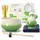 TEANAGOO 7-teiliges Matcha-Set, Grünes Matcha-Besen-Set, Zeremonie Matcha-Pulver Kit, Matcha-Teeset für die Zubereitung von Milchkaffee,Matcha Schneebesen Set und Schüssel mit löffel & Sieb, Fuji-Design Keramikschale, Geschenk für Matcha-Liebhaber,