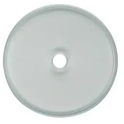 Berker Glasplatte 1090