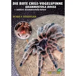 Die Rote Chile-Vogelspinne