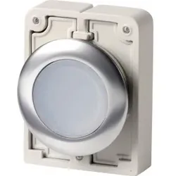 Eaton 197011 Leuchtdrucktaste, RMQ-Titan, flach, tastend, abgedichtete und unverlierbare Tastenplatte, weiß, unbeschriftet, Frontring Edelstahl