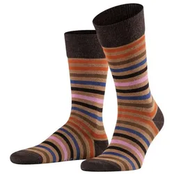 Tinted Stripe Socks