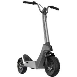 STREETBOOSTER E-Scooter Pollux mit Straßenzulassung - silber