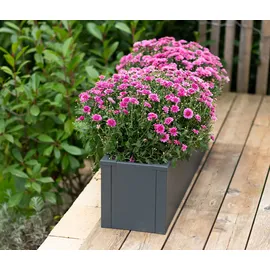 Tchibo Talus Pflanzkasten 100 x 25 x 27 cm Anthrazit