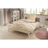 OTTO home Naturfaserbettdecke OTTO HOME "Baumwolle 60 C, Bettdecke 135x200 cm, 155x220 cm, 200x200 cm", beige (natur), B:135cm L:200cm, Bezug: 100% Baumwolle. Füllung: 100% Baumwolle, Bettdecken, Bettdecken, Sommer, Winter, 4 Jahreszeiten, Decke, Made in Germany