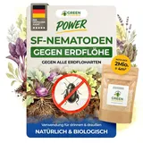 green guardia Super SF-Nematoden gegen Erdflöhe 2 Mio. für 4 m2