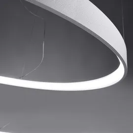 Sollux Lighting Pendellampe Hängeleuchte Esszimmerleuchte LED Ring Designleuchte weiß 4000K