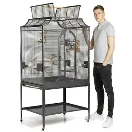 Montana Cages Madeira III Antik (K35064)