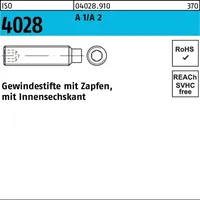 F. REYHER Nchfg. GmbH & Co. KG Gewindestift ISO 4028 M3 x 5 500 Stück