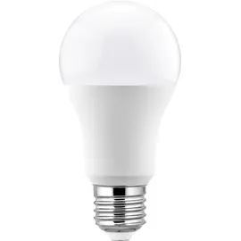 GTV Lighting LED-Birne 10W E27 6500K