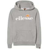 Ellesse Sweatshirt »Sweatshirt ISOBEL Oh Hoody JNR«, grau