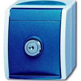 Busch-Jaeger Schuko-Steckdose 20 EWSL-53 Aufputz Grau/Blaugrün