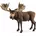 Schleich Wild Life Elch Bulle 14781