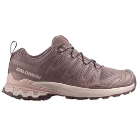 Salomon XA Pro 3D V9 Damen Dark Gull Gray/Cloudburst 44