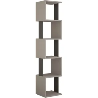 Decortie Bücherregal »Piri Bücherregal«, (Packung), Leichte Montage, Lagerung, Platzsparend