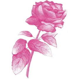 Copic COPIC® Multiliner Color Fineliner farbsortiert 0,3 mm, 10 St.