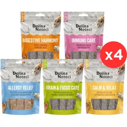 DOLINA NOTECI Smart Chews Mix Geschmacks Unterstützung bei Stressabbau, kognitiver Funktion, Verdauung, Nahrungsmittelallergien, Immunsystem, getrocknete Hundeleckerlis 20x100g