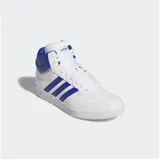 Cloud White / Team Royal Blue / Grey Two 44