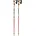 Leki WCR Lite SL 3D