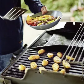 Weber Spirit II E-310 GBS schwarz