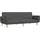 vidaXL Schlafsofa 2-Sitzer mit 2 Kissen Dunkelgrau Stoff