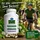 VitalLife Wilder Frischblatt Bärlauch Kapseln 360 St.