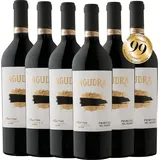 6 x Ngudrà Primitivo del Salento IGP 2019