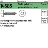 Industrial Quality Supplies ISO 14585 Form CE Flachkopf-Blechschraube VG 4,8x32 Stahl galvanisch verzinkt TX m. Spitze