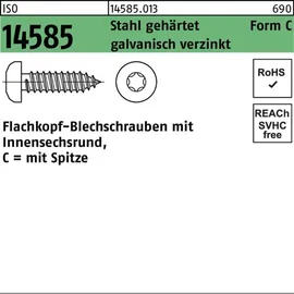 Industrial Quality Supplies ISO 14585 Form CE Flachkopf-Blechschraube VG 4,8x32 Stahl galvanisch verzinkt TX m. Spitze