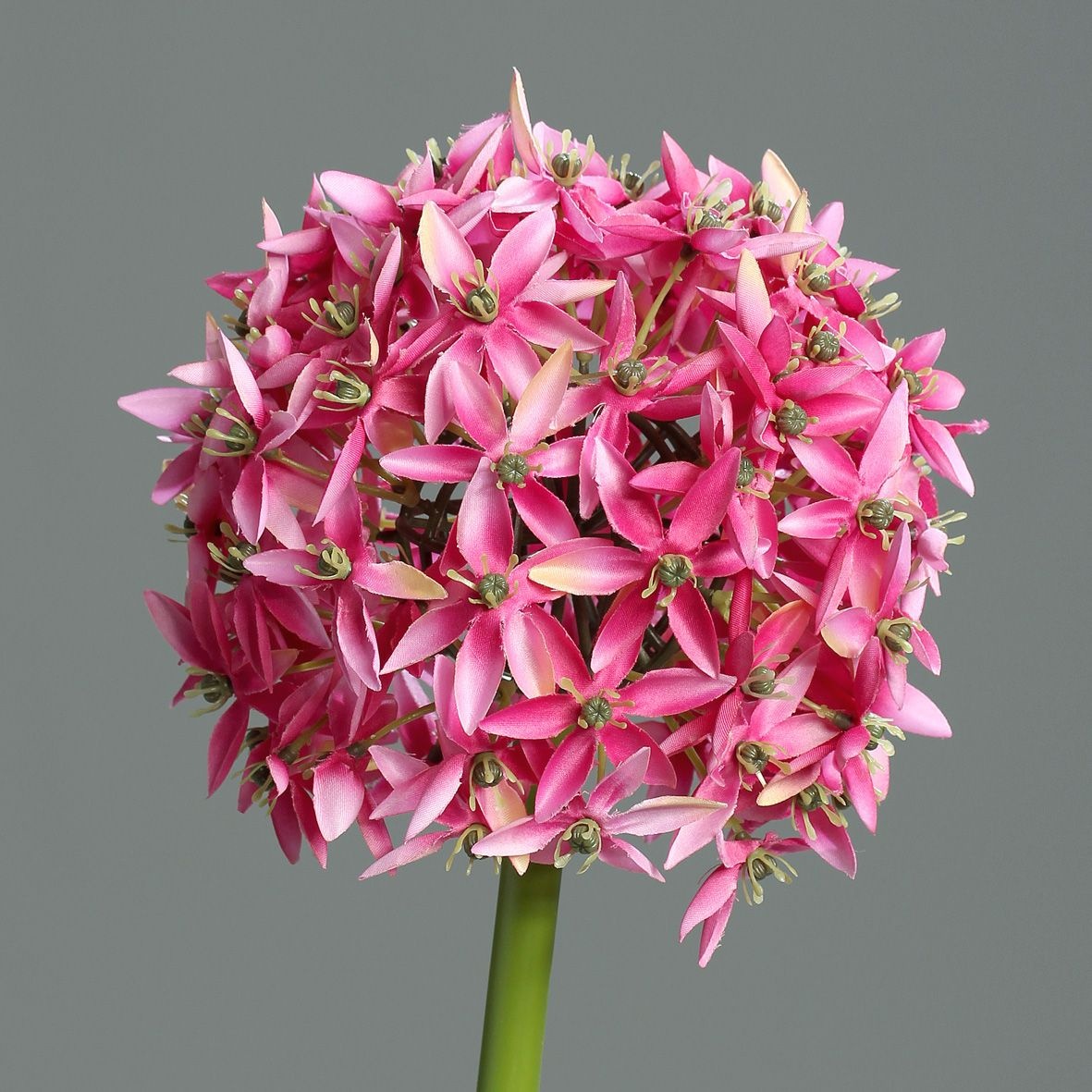Kunstblume Allium (DH 19x70 cm) - pink