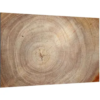 ALLboards Glas Magnettafel Baumstamm Natur Baumkern 90x60cm Glasbild Memoboard aus Glas Glastafel mit Baumstamm-Motiv Magnetwand zum Beschriften Magnetische Tafel Wanddekoration Wandbild