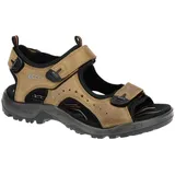 ECCO Offroad Herren nutmeg brown 50