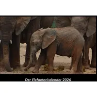 Vero Kalender Der Elefantenkalender 2026 Fotokalender DIN A3 von