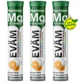 callaghan international EVÄM Magnesium + Vitamin B Complex Brausetabletten Zitrone 20 St.