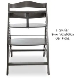 hauck Alpha+ charcoal