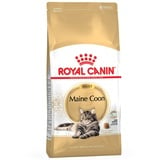 Royal Canin Adult Maine Coon 4 kg