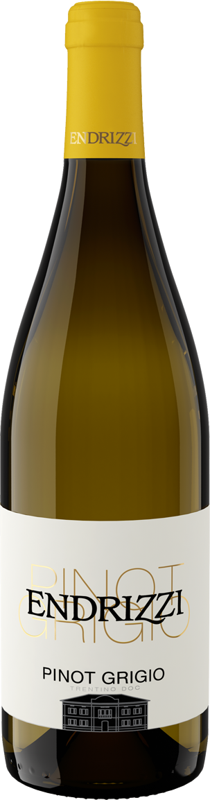 Endrizzi - Pinot Grigio Trento DOC 2021