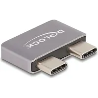 Delock 60055 - USB 40 Gbps Type-C 2 x Stecker zu 2 Buchse Portschoner 2x C), Dockingstation + USB Hub, Silber