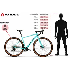 KROSS Gravelbike 2026 28 Zoll RH 53 cm blau/braun