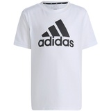 adidas Unisex Kinder T-Shirt (Short Sleeve) Lk Bl Co Tee, White/Black, IC3830, 116