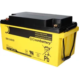 Sun Battery SB12-65V0 AGM Akku 12V 65Ah Blei-Akku mit VDS